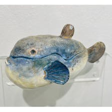 ふぐはこ ゴマフグ
